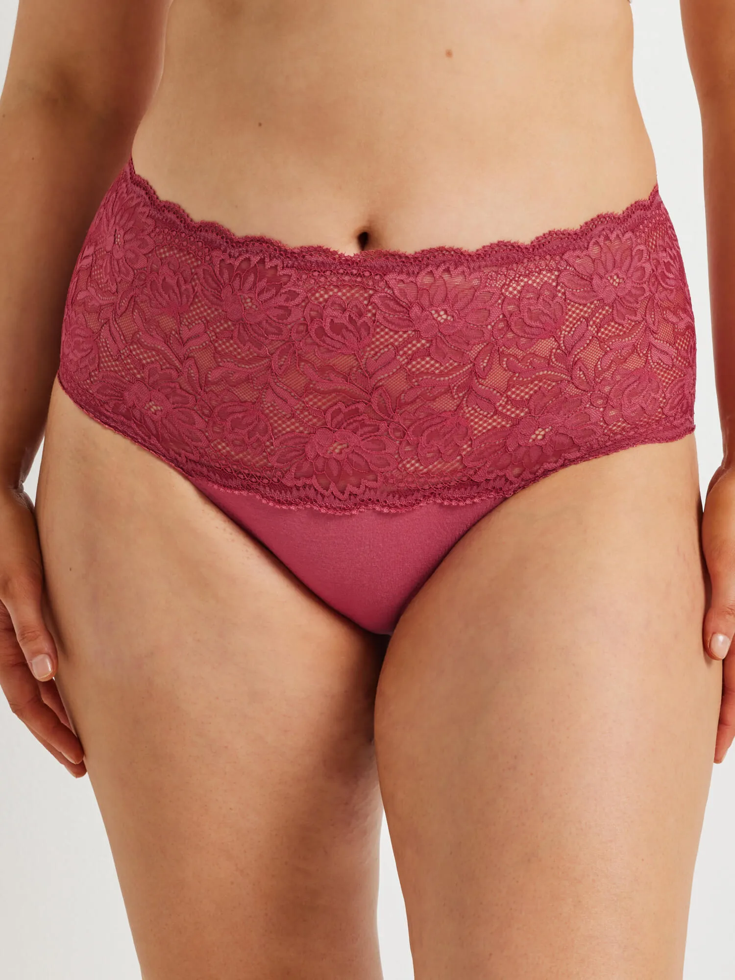 Daily Essentials Cotton & Floral Lace Full Brief (465N)