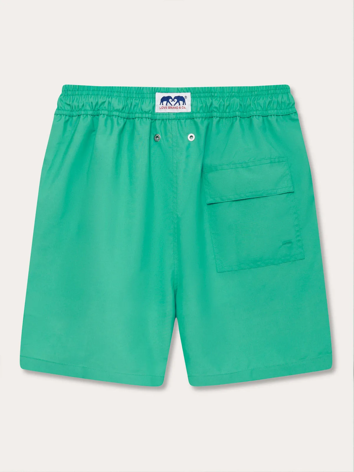 Men's Sicilian Green Staniel Swim Shorts